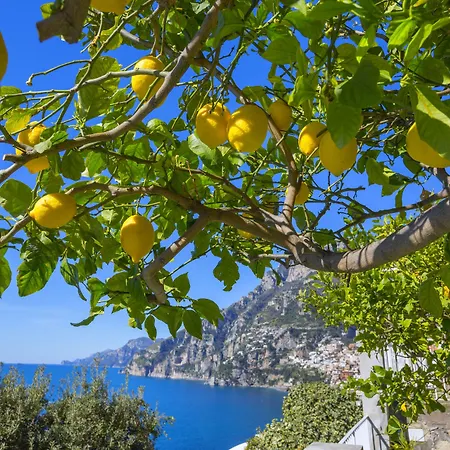 La Maliosa D' Arienzo Bed and Breakfast Ποζιτάνο