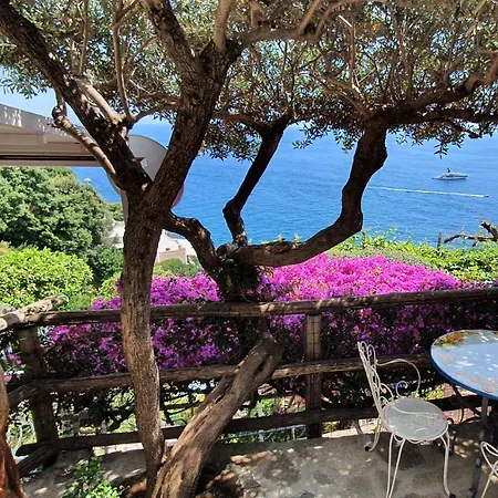 La Maliosa Frühstückspension Positano