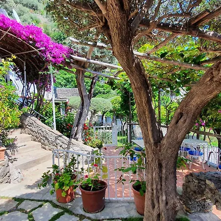 לינה וארוחת בוקר La Maliosa פוזיטנו