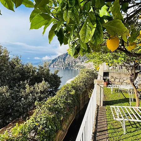La Maliosa D' Arienzo